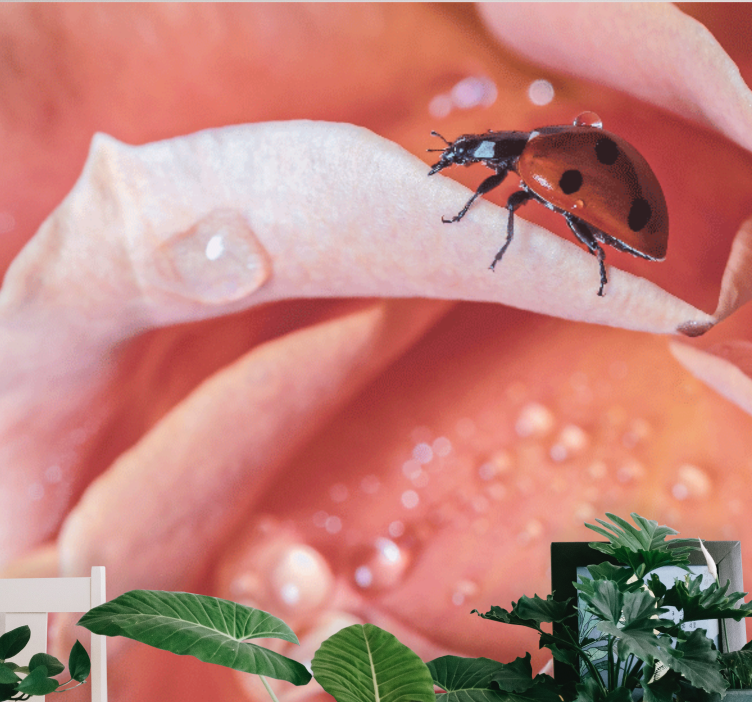 Mural de flores con mariquita en pétalo - TenVinilo