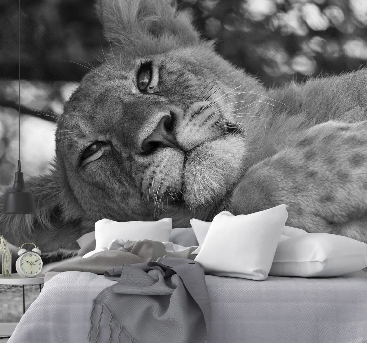 Mural de leones majestuoso león relajante - TenVinilo