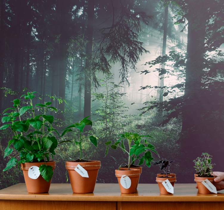 Mural de naturaleza paisaje de bosque verdeante - TenVinilo