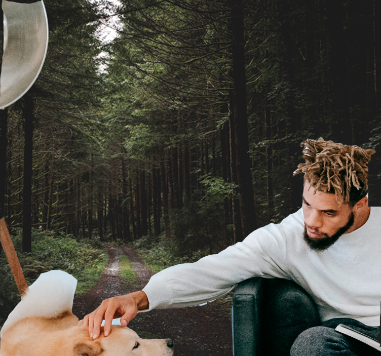 Mural de naturaleza sendero del bosque verde - TenVinilo