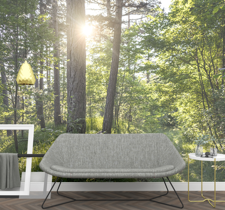 Mural de naturaleza sendero luminoso en el bosque - TenVinilo