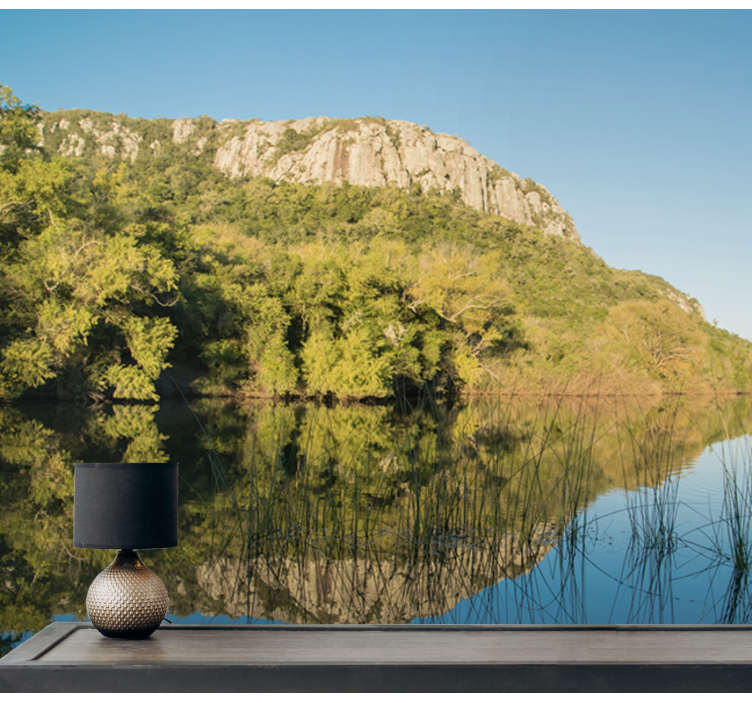 Mural de paisajes escena de reflexión de montaña - TenVinilo
