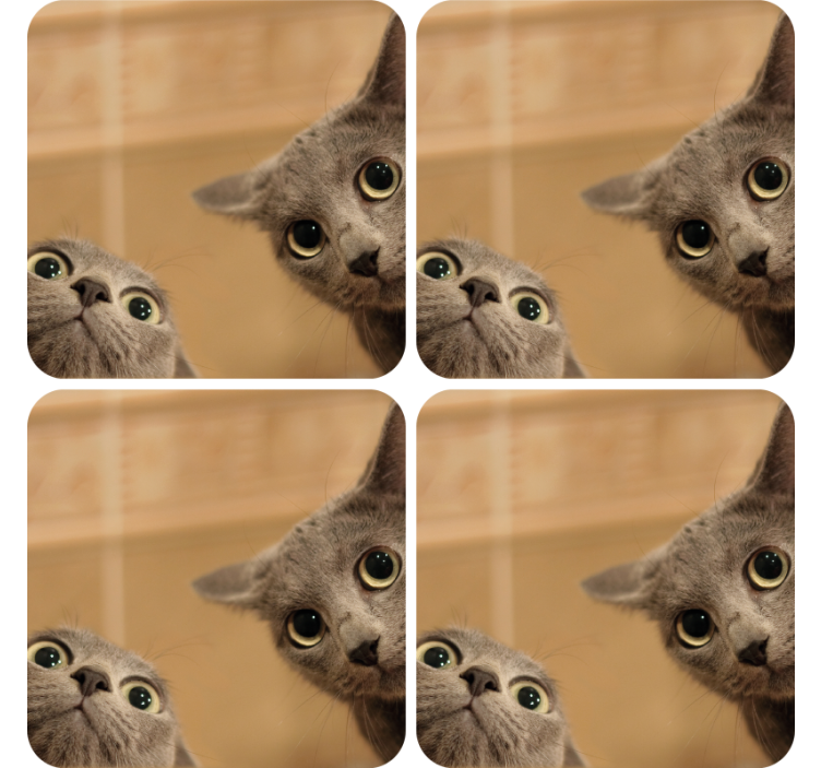 Portavasos frikis caras de gatos curiosas - TenVinilo