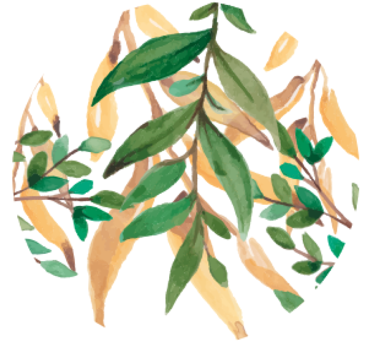 Posavasos modernos Posavasos de hojas verdes y beige - TenVinilo