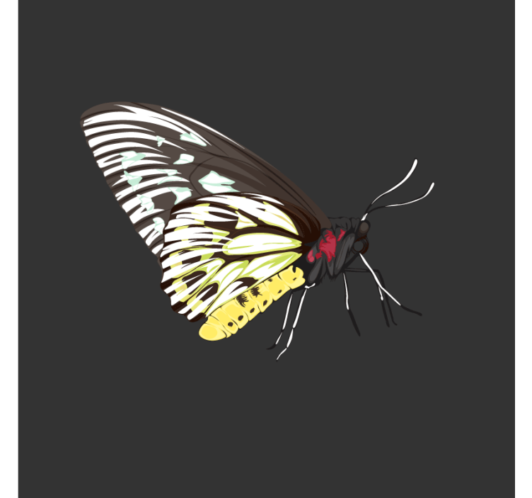 Portavasos frikis arte de mariposas coloridas - TenVinilo