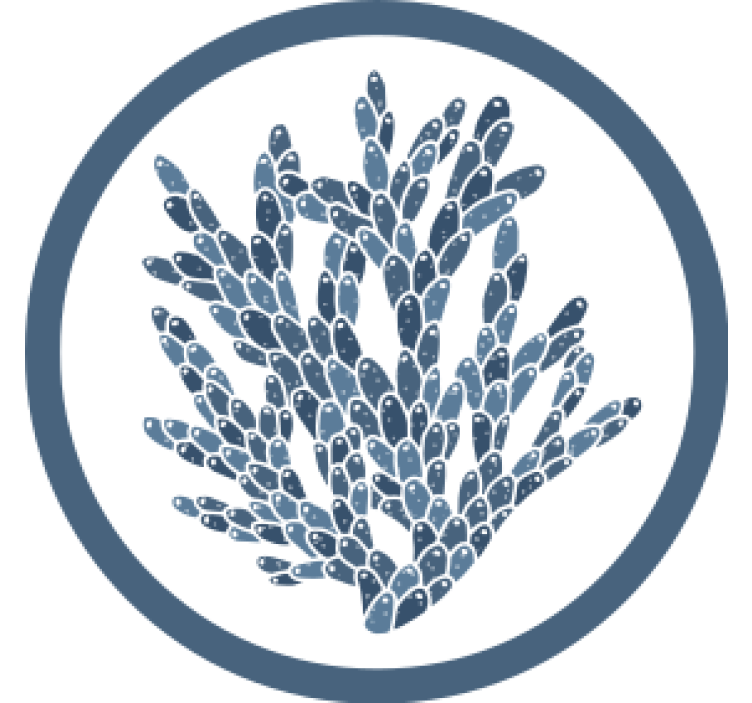 Portavasos patrón coral abstracto - TenVinilo