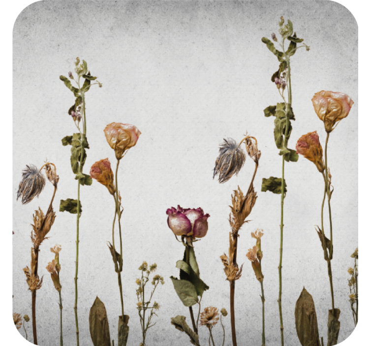 Portavasos ramo de flores secas - TenVinilo