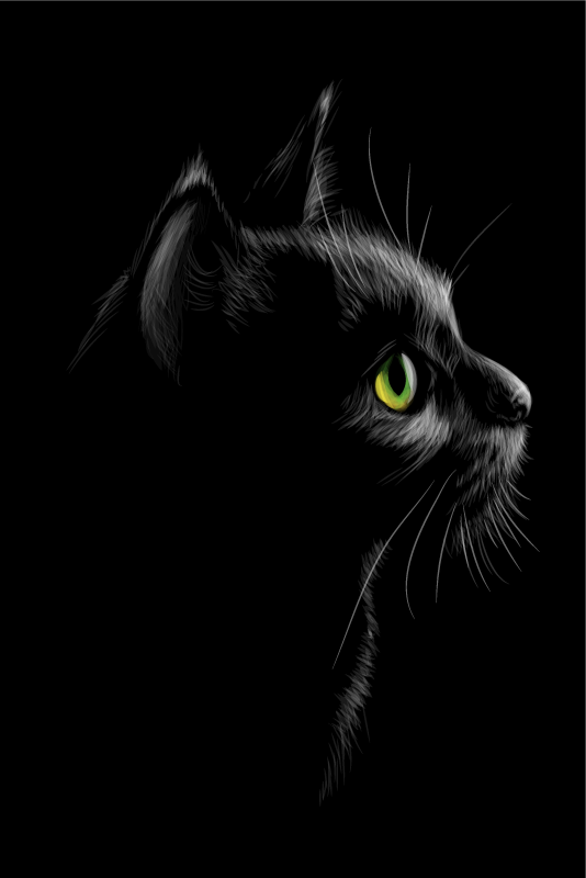 Poster salón gatos con ojos verdes - TenVinilo