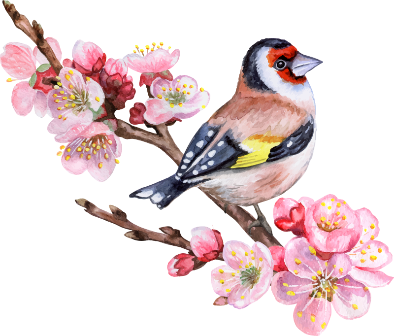 Poster árboles ramas de primavera con pájaros - TenVinilo