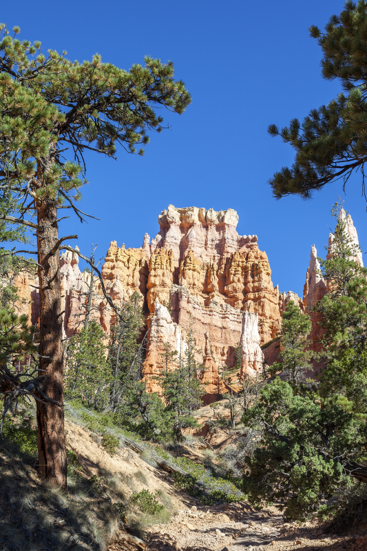 Poster paisajes bryce canyon - TenVinilo