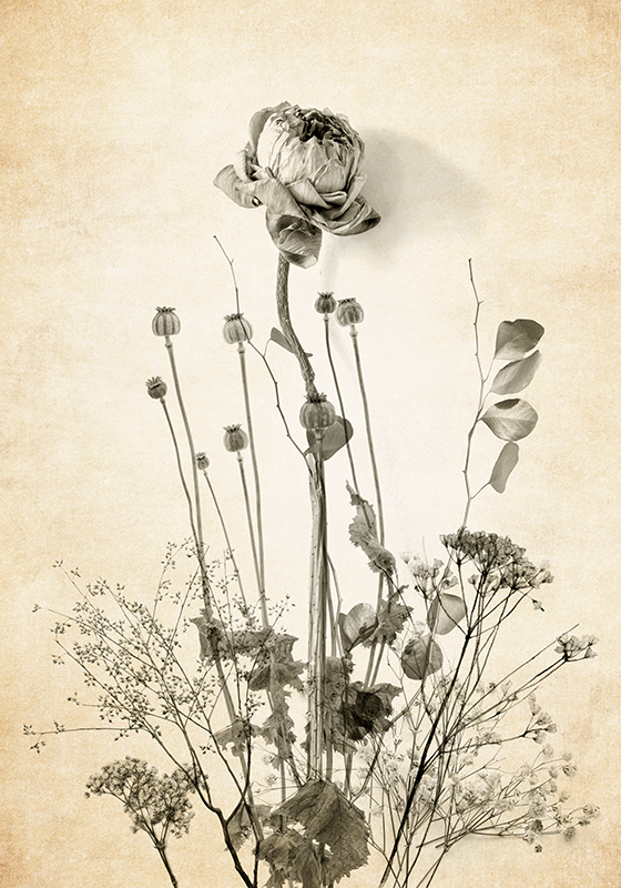 Poster flores ramo de flores sobre fondo beige - TenVinilo