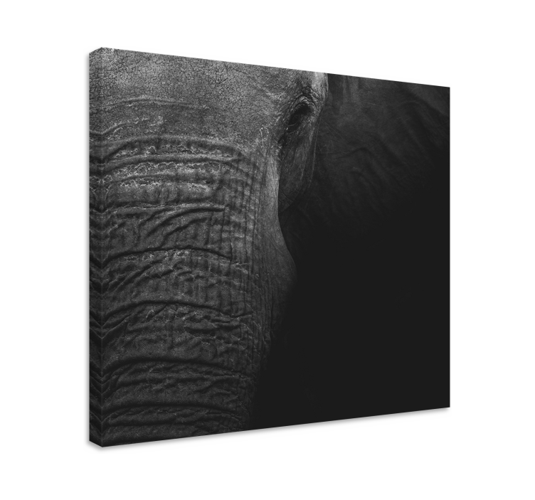 Cuadro elefante Elegante olifante oscuro - TenVinilo