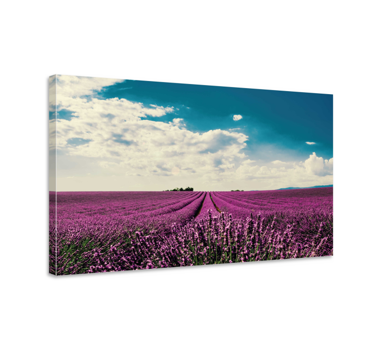 Cuadro de flores paisaje de campo de lavanda - TenVinilo