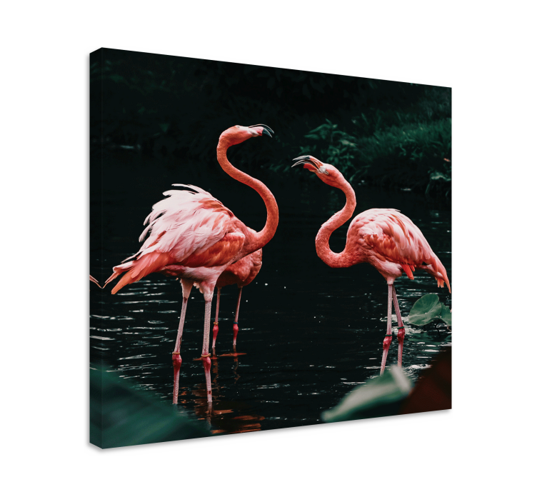 Cuadro animales Pareja de flamencos - TenVinilo