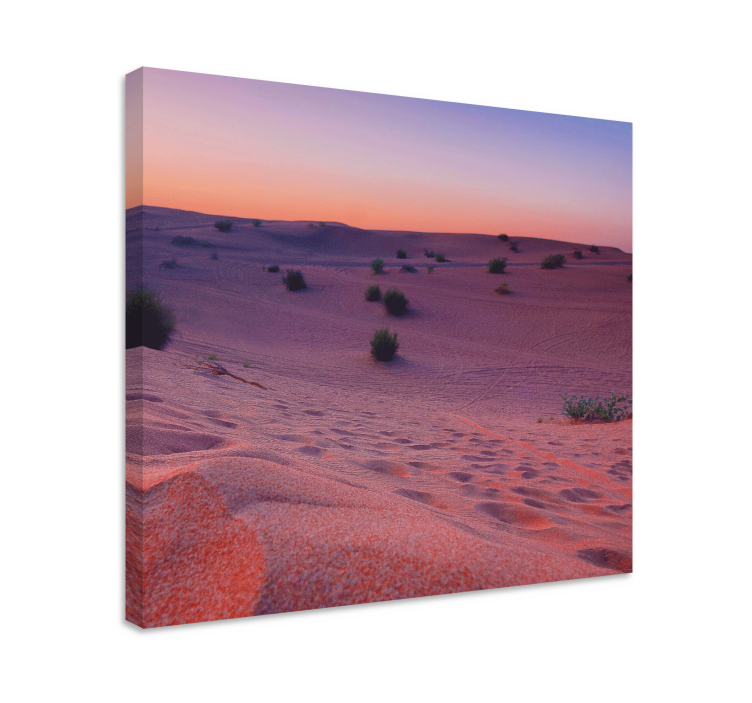 Cuadro paisajes Desierto durante la puesta de sol - TenVinilo