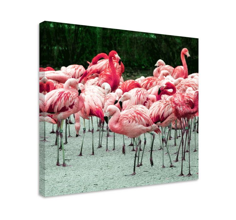 Cuadro para salón Bonitos flamencos en el agua - TenVinilo