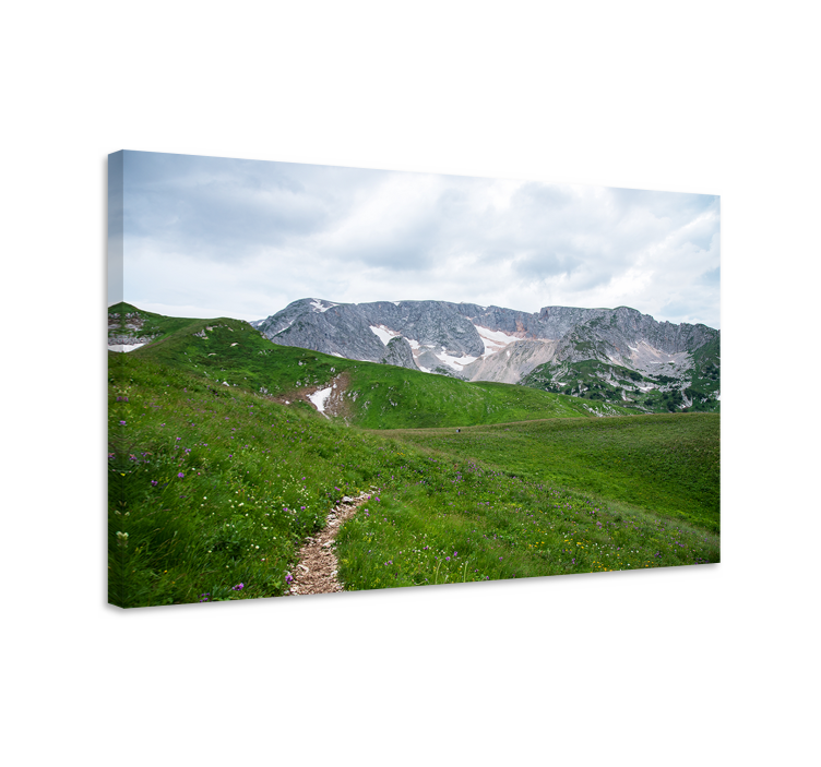 Cuadro paisajes sendero montañés sereno - TenVinilo