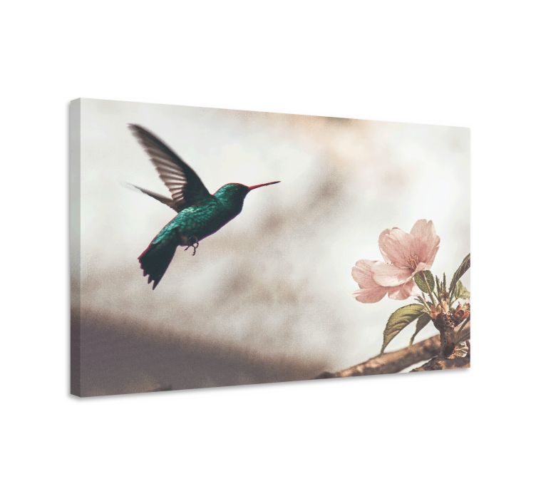 Cuadro aves colibríes y flores - TenVinilo