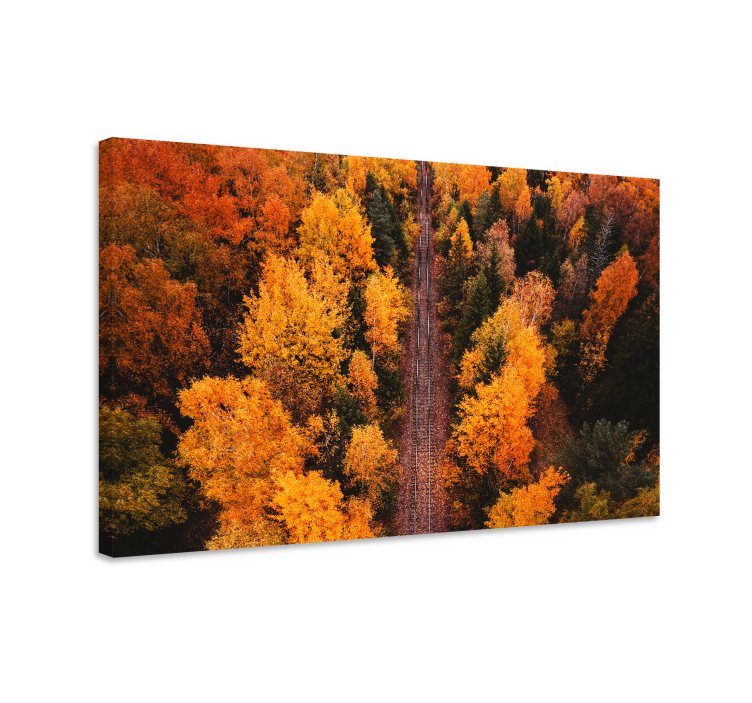 Cuadro paisajes sendero de follaje otoñal - TenVinilo