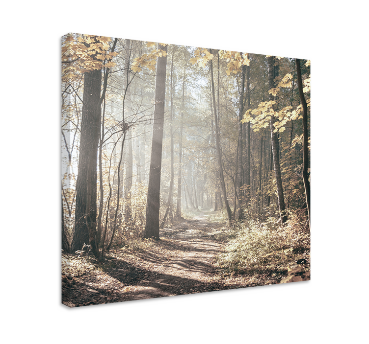 Cuadro paisajes sendero cubierto de niebla - TenVinilo