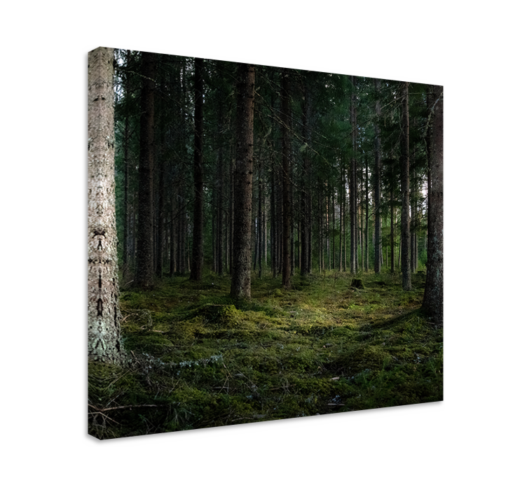 Cuadro de árboles profundidades del bosque sereno - TenVinilo