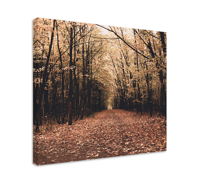Cuadro paisajes escena del camino de otoño - TenVinilo