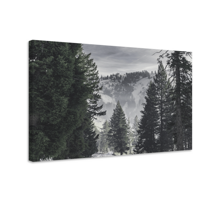 Cuadro paisajes escena majestuosa de montañas - TenVinilo