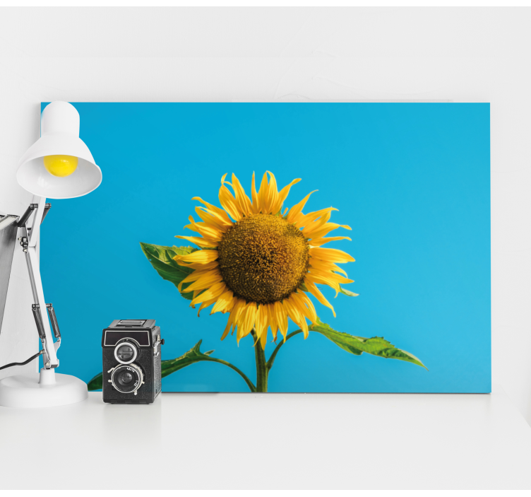 Cuadro de flores Flor del sol en azul - TenVinilo
