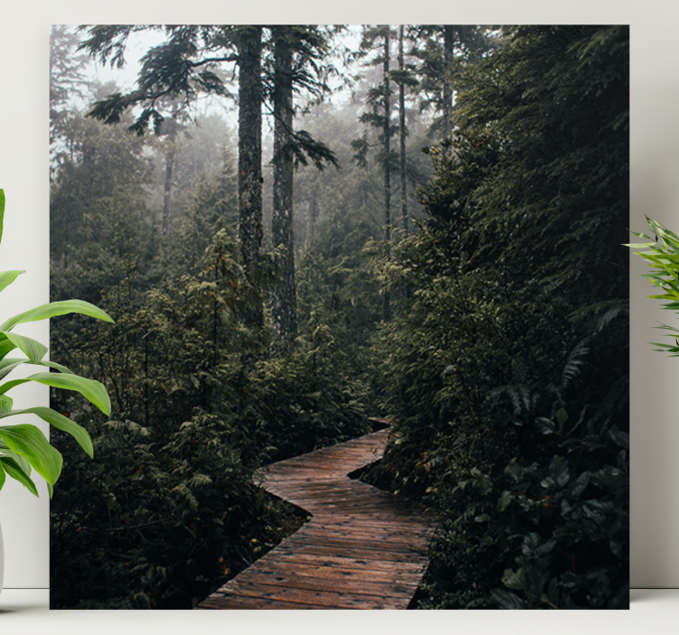 Cuadro paisajes sendero boscoso tranquilo - TenVinilo