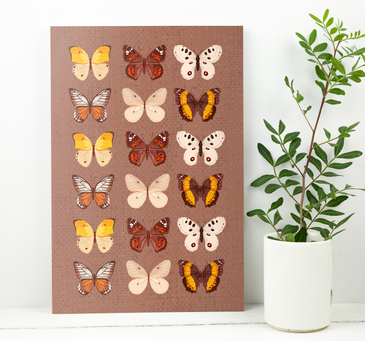Cuadro vintage Mariposas vintage - TenVinilo
