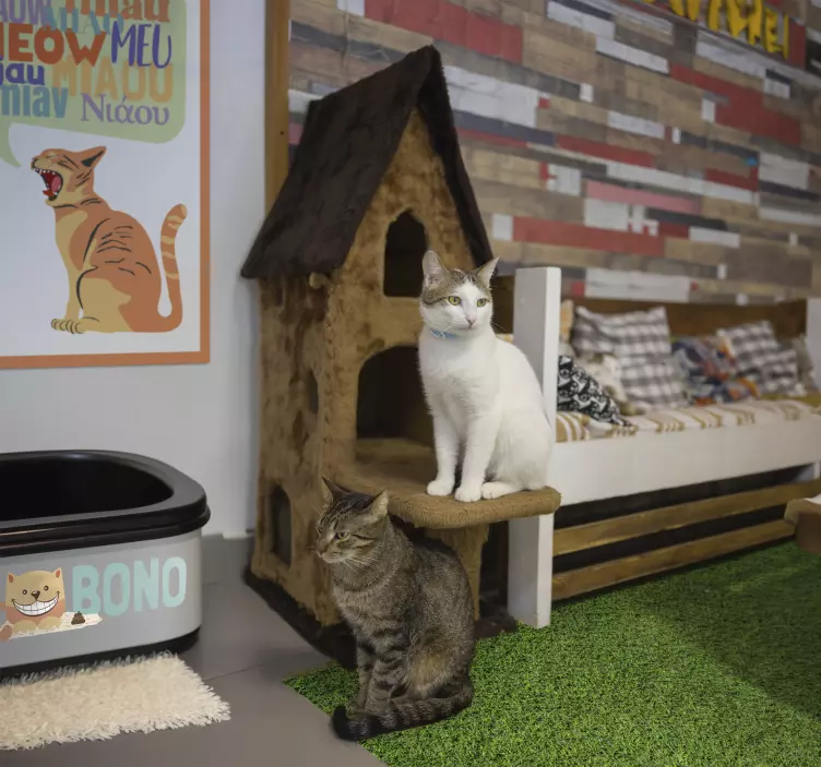 Vinilo gato nombre de la caja de arena para gatos - TenVinilo