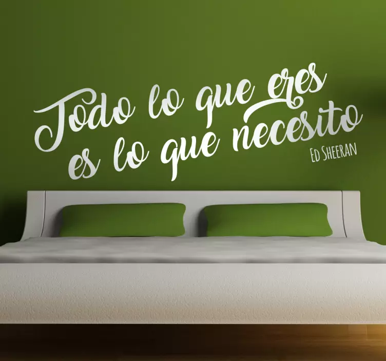 Vinilo cabeceros de cama Ed Sheeran - TenVinilo