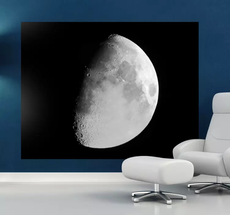 Vinilo decorativo foto luna - TenVinilo
