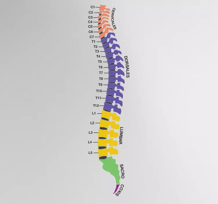 Vinilo decorativo zonas columna - TenVinilo