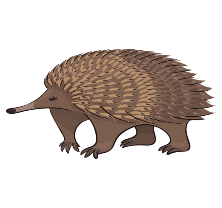 Alfombra vinílica animales erizo amistoso - TenVinilo