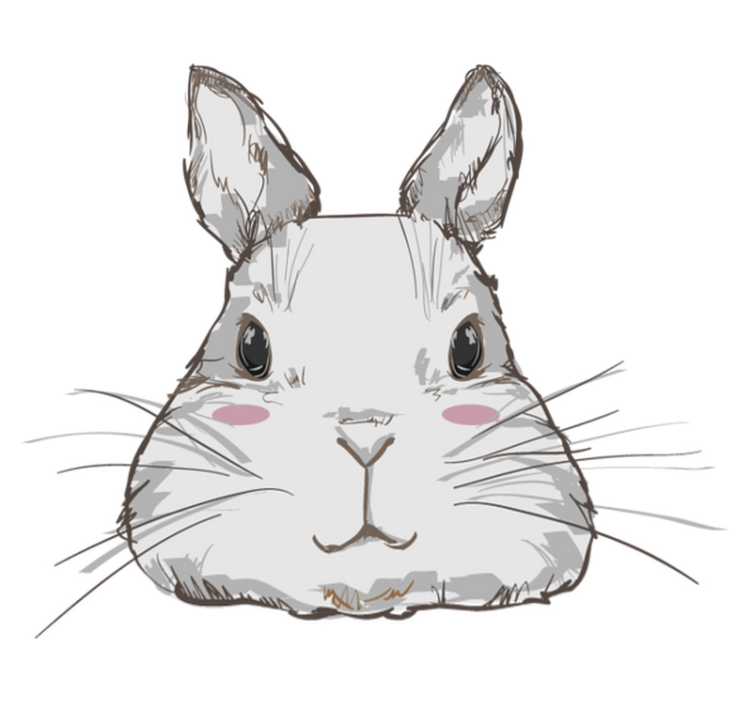 Alfombra vinílica animales cabeza de conejo linda - TenVinilo