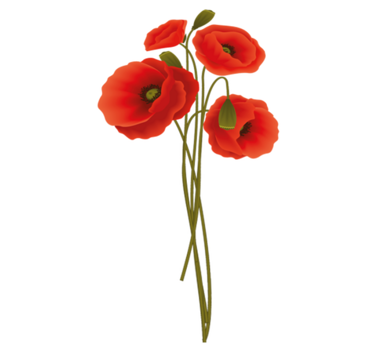 Alfombra vinílica baño amapolas delicadas - TenVinilo