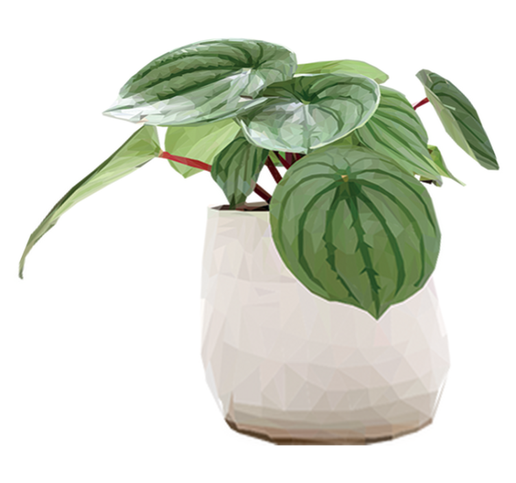 Alfombra vinílica flores planta de hogar sencilla - TenVinilo