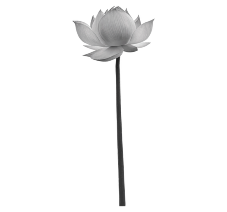 Alfombra vinílica dormitorio flor de loto solitaria - TenVinilo