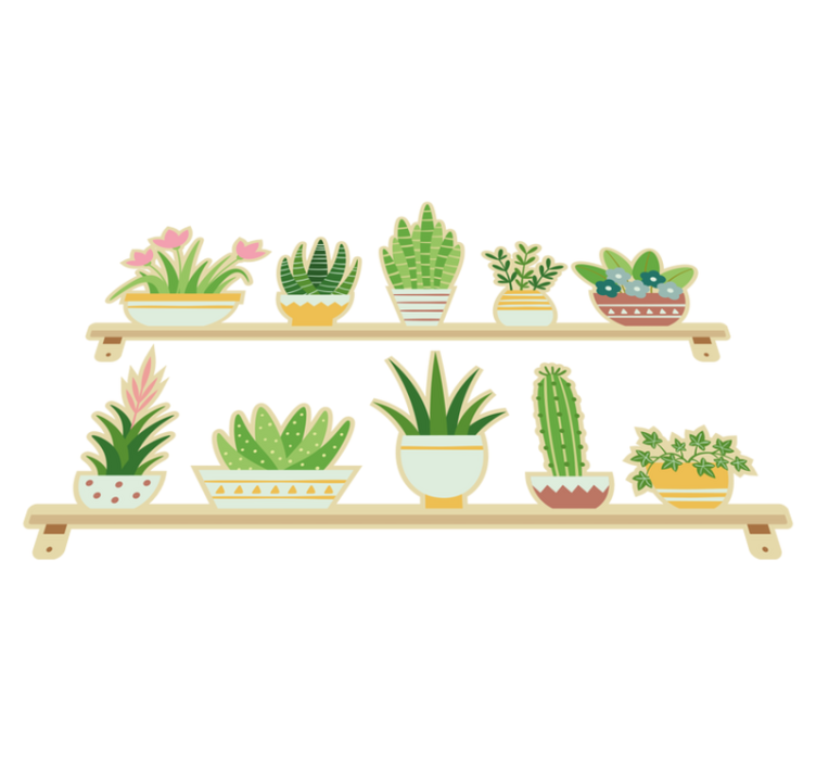Alfombra vinílica cocina estante para cactus - TenVinilo