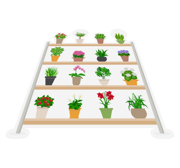 Alfombra vinílica cocina plantas en estanterías - TenVinilo