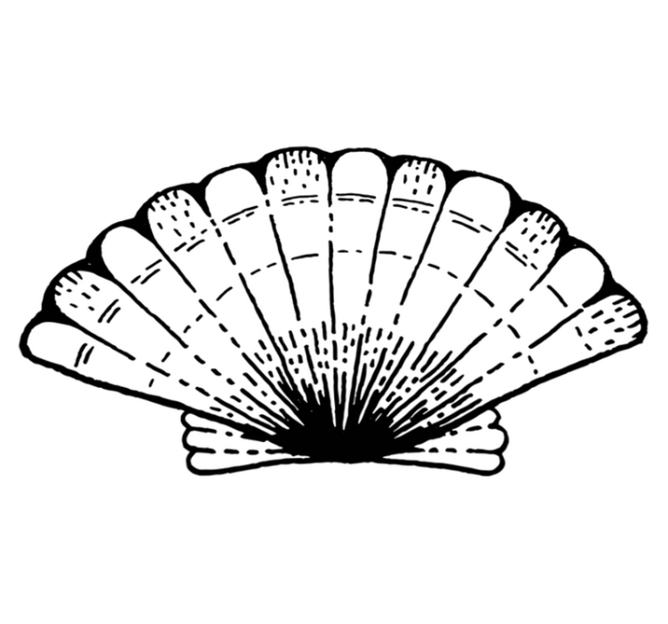 Alfombra vinílica naturaleza acento con estampado de conchas - TenVinilo