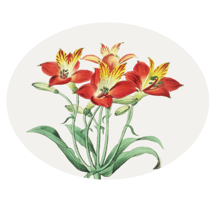 Alfombra vinílica flores rosas rojas brillantes - TenVinilo