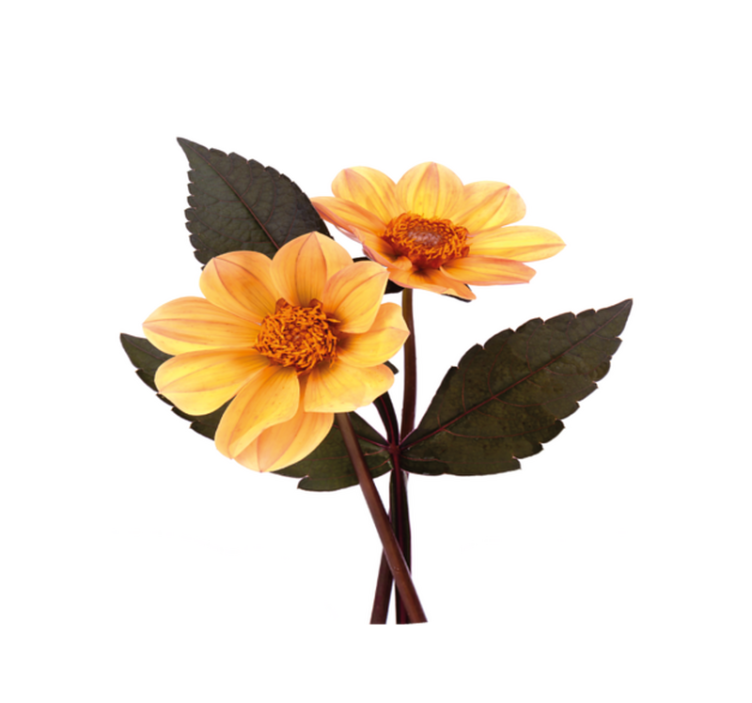 Alfombra vinílica flores composición flores vivas - TenVinilo