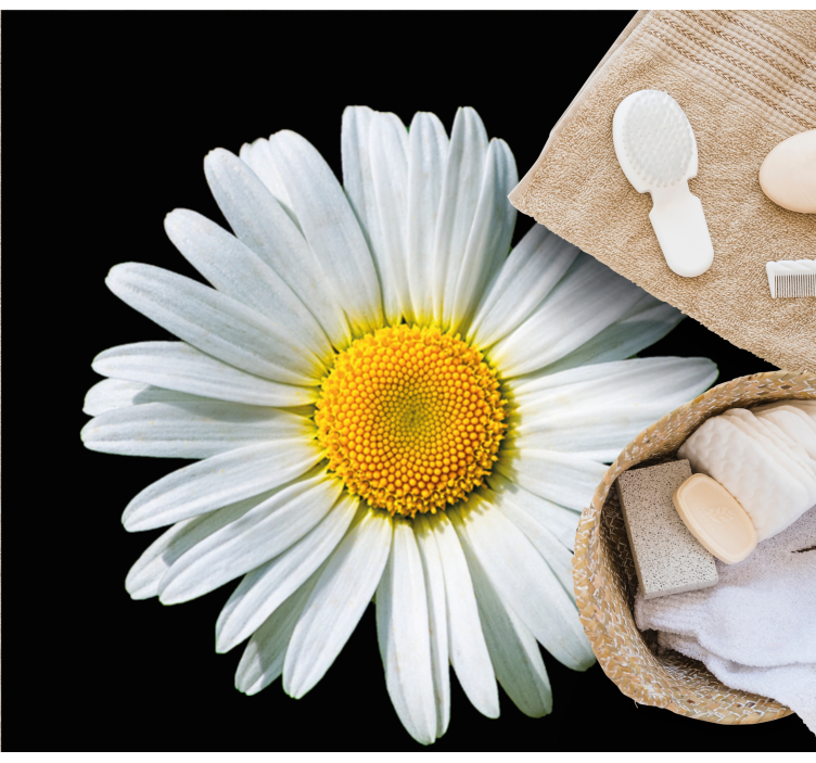 Alfombra vinílica dormitorio Flor de margarita blanco y negro - TenVinilo