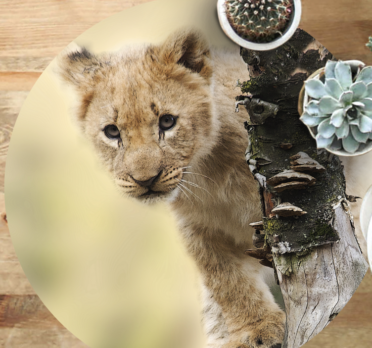 Aflombra vinílica animales Tigre lindo animal - TenVinilo