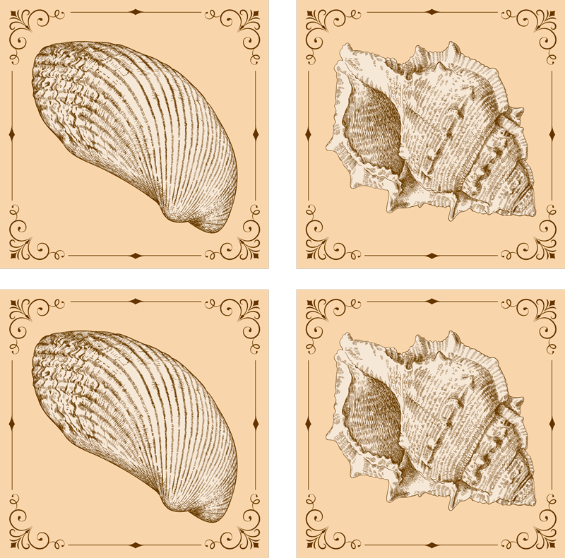 Alfombra vinílica animales con conchas vintage - TenVinilo