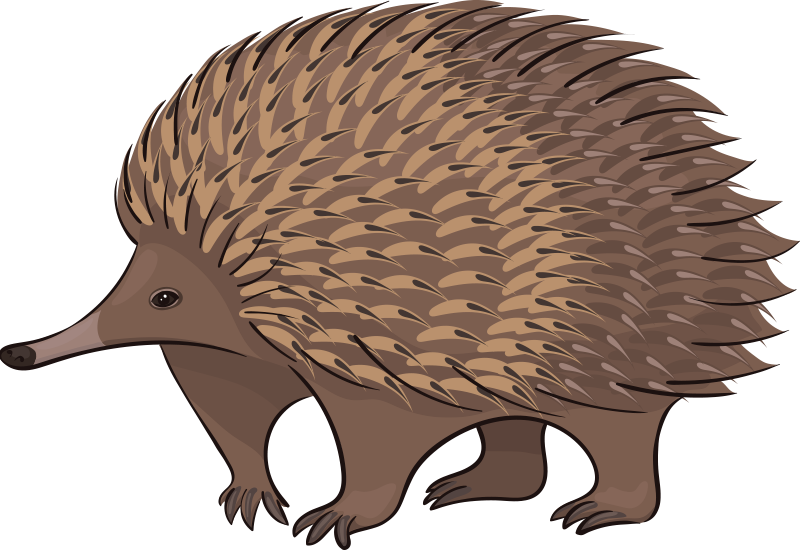 Alfombra vinílica animales erizo amistoso - TenVinilo