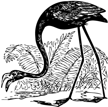 Alfombra vinílica animales flamenco con helechos - TenVinilo