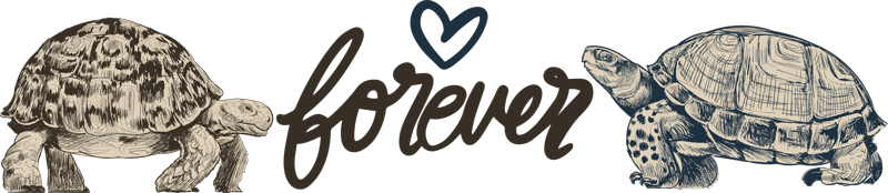 Alfombra vinílica animales amor eterno de tortugas - TenVinilo